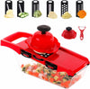 10 in 1 Mandoline Slicer Vegetable Cutter